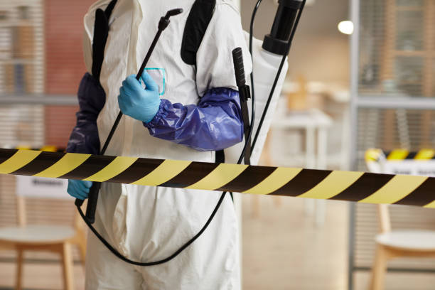Professional Sewage Cleanup technician working in Union, MO